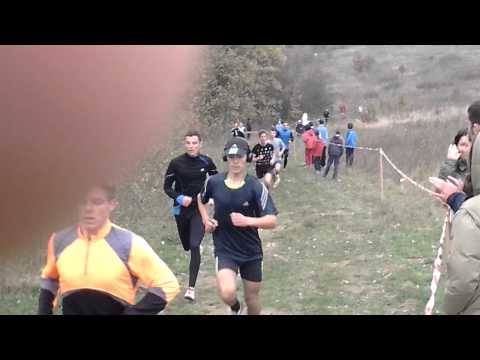 Cros dealul viilor 1