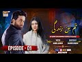 Tum Bin Zindagi Episode 01 Eng Sub Bilal Abbas Kha Sara Khan Pakistani Drama ARY Digital