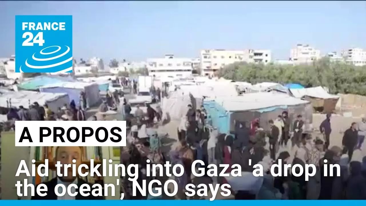 Aid trickling into Gaza 'less than a drop in the ocean': NGO spokesman • FRANCE 24 English