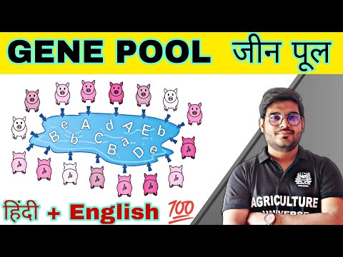 defination allopolyploid allopolyploid kya hai allopolyploid in hindi what is allopolyploid