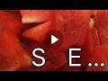 Se X Xx ️