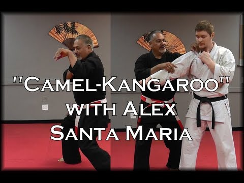 Waza Wednesday 7/18/18 -"Camel-Kangaroo" with Alex Santa Maria