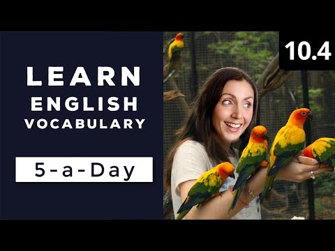 Learn English Vocabulary Daily 36 3 — British English Podcast