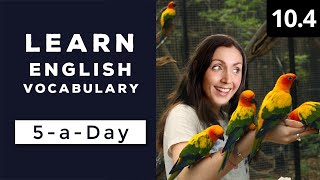 Learn English Vocabulary Daily #10.4 - British English Podcast