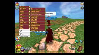 How to Use Wizard101 Chat