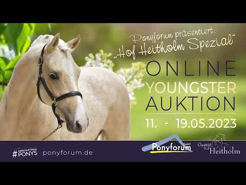 Number Five G Hengst 2021 v. FS Numero Uno / FS Champion de Luxe