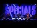 The Specials - Why Live