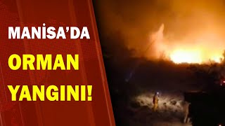 Manisa'da Orman Yangını! / A Haber | A Haber