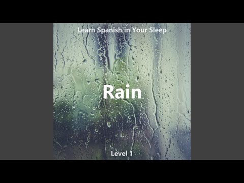Los Idiomas - Languages (Rain Edition)
