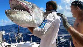 Yachting Fishing Specialist - Booking for 2021 are now open!