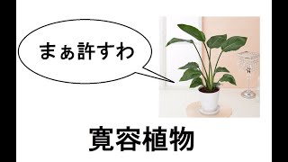 paladins暇人部