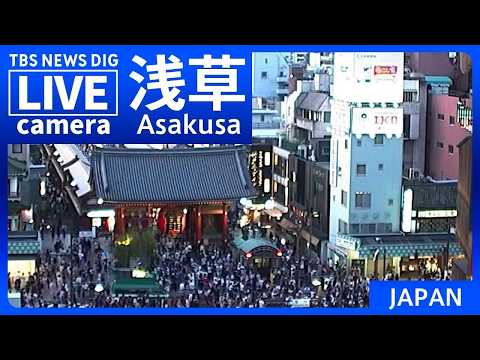 Camera Offline