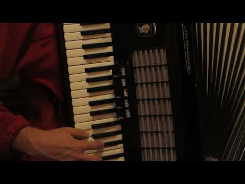 Accordeon Weltmeister Stella 3/4 80 bass. La vânzare/Продается!