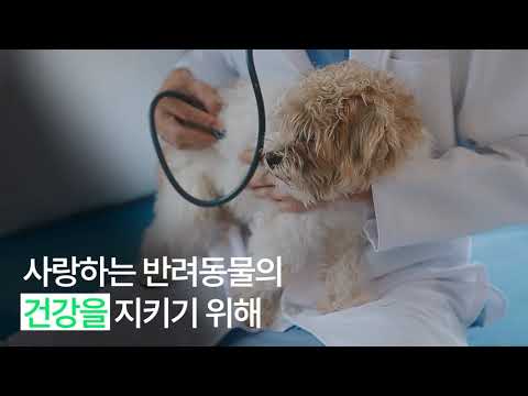 기본썸네일이미지