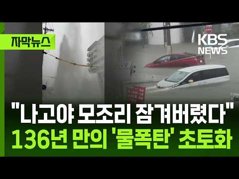 [자막뉴스] 