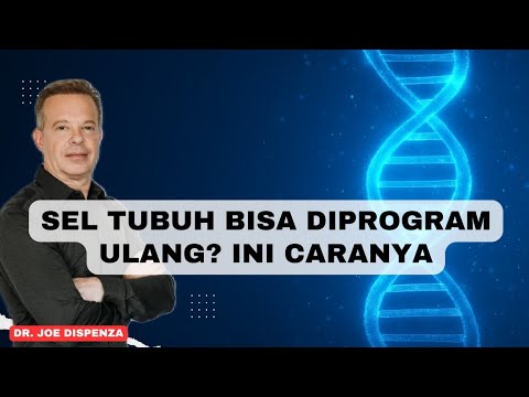 Sembuh Lewat Pikiran, Antara Keajaiban dan Ilmu Pengetahuan : Joe Dispenza