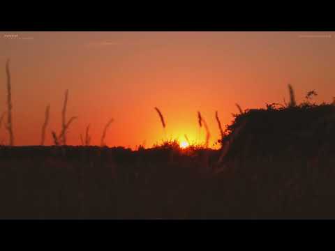 Avvem - Out of Reach