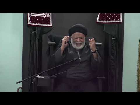 28th Safar Maulana Syed Safi Haider