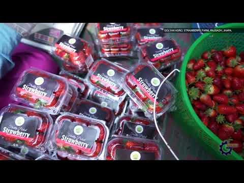 Golyan Group | A Vision A Legacy