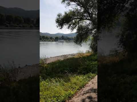 من امام شاطئ نهر الراين في المانيا -- تصوير Ihab Mix