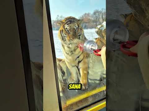 Sizce Yiycek Mi ? 😁🤣😮