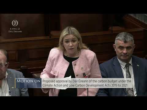 Carol Nolan criticises binding carbon budgets and net zero