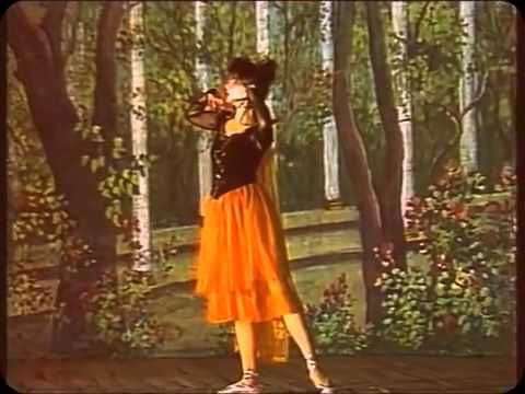 Rashid Ahmedov Karacev. DON QUIXOTE by K. Karayev