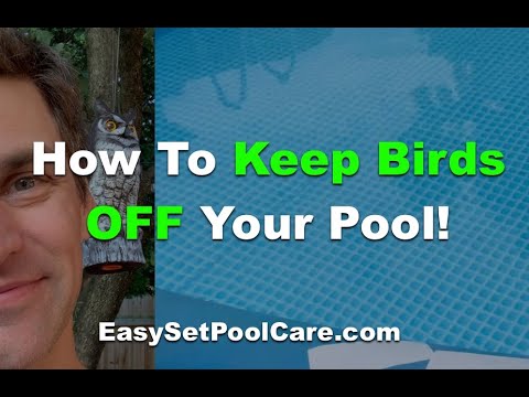 YouTube video about: How to keep birds away from pool area?