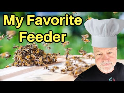 , title : 'Beekeeping | Which Feeders Work Best?'