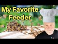 Prepare For Winter With The Right Feeder & Win Our Ultimate Online
Beekeeping Course