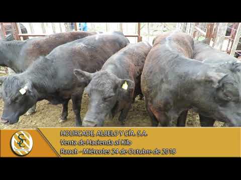 24-10-18 Venta de Gordo - Hourcade, Albelo y Cía. S.A. - Rauch