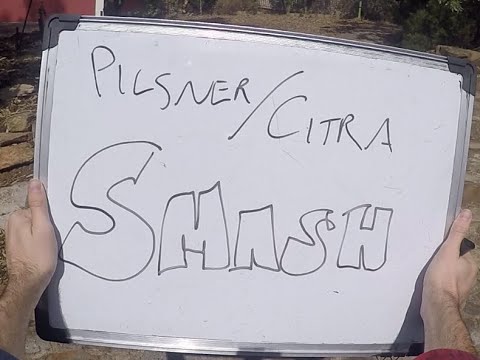 Brew Day - Pilsner / Citra SMASH (advanced, BIAB)