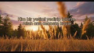Yetimi Gözetmenin Mükâfatı | Anlamlı Hadis