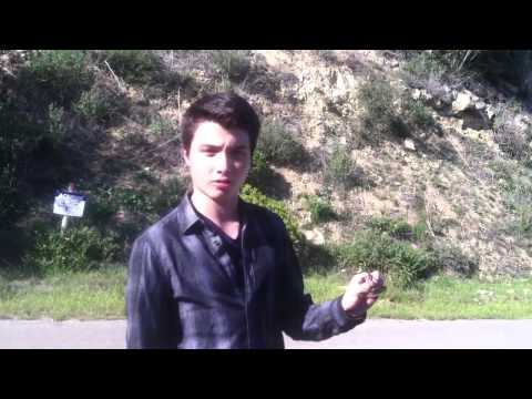 Narcissist Glasses (by Giorgio Armani)