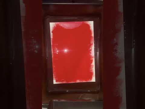 The Door - Thumbnail 2