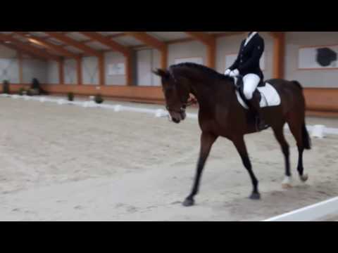 Fiësta Klasse B 10-12-2016