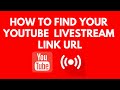 How to find YouTube live stream link URL (2023)