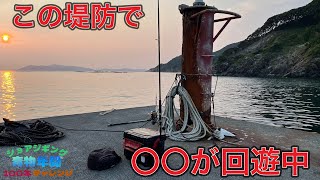 この堤防は〇〇が回遊しています。【ショアジギング青物年間100本チャレンジ#121】