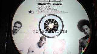 Majusty (aka Prophet Jones) &quot;I Know You Wanna&quot; (Main Version)