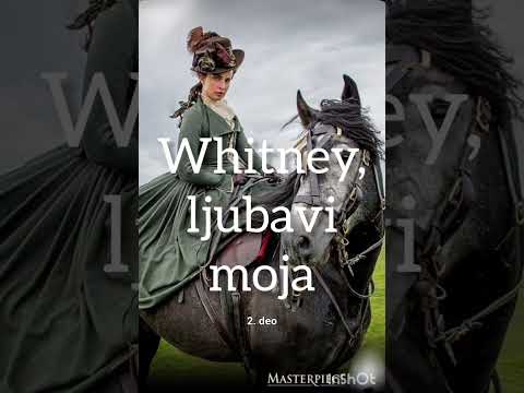 Whitney, ljubavi moja - Džudit Meknot 2. deo