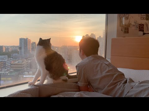 퇴근 후 지친 하루의 끝 고양이랑 노을 보며 힐링해요
