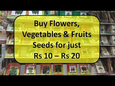 download lagu mp3 mp4 Buy Cheap Fruits Online, download lagu Buy Cheap Fruits Online gratis, unduh video klip Buy Cheap Fruits Online