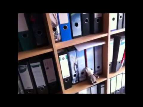 Teleport von Paul der Mitske