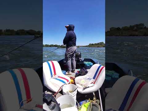 Pesca en Ayolas #paraguay #ayolas #pesca