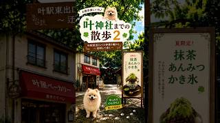 『叶神社までの散歩２』#開運動画#開運散歩#叶神社