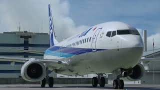 PMDG NG3 ANA 737-800 JA71AN Repaint - Aircraft Liveries for MSFS