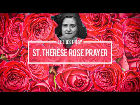 Pray | The Saint Thérèse Rose Prayer