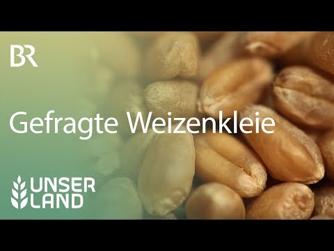 Weizenkleie - ein gefragtes Futtermittel | Unser Land | BR Fernsehen
