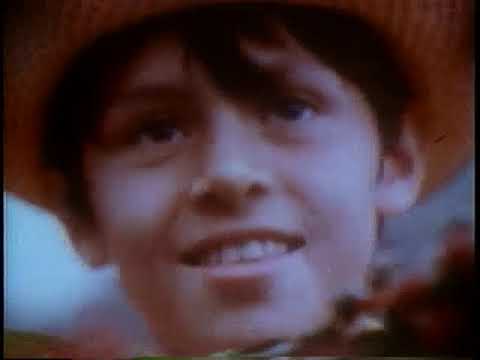 100%  Colombian Coffee