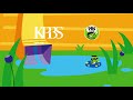 PBS Kids System ID Swamp 2014